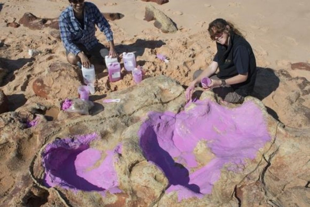 Cientistas criam molde de silicone na pegada de um dinossauro.