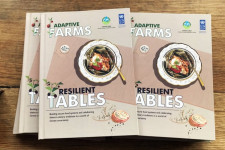 Alimentação Resiliente